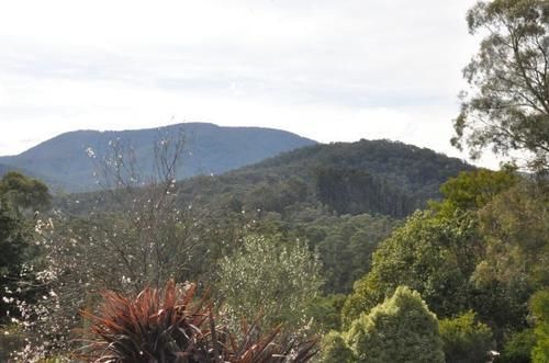 Healesville Maroondah View Motel Exterior photo
